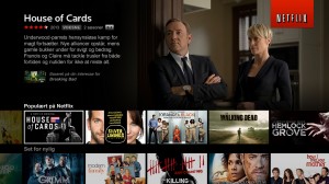 opsig afmeld netflix danmark