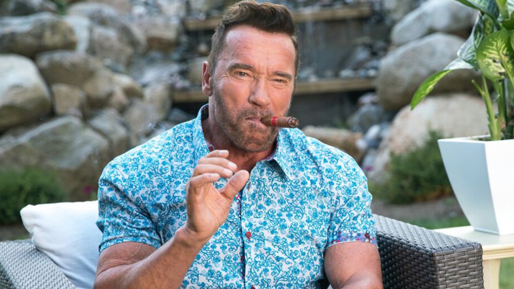 Bekræftet Arnold Schwarzenegger laver spionserie til Netflix Flixfilm